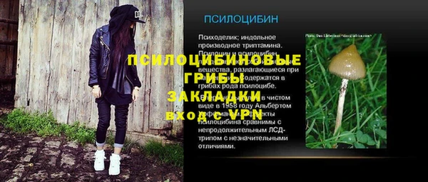 дживик Армянск