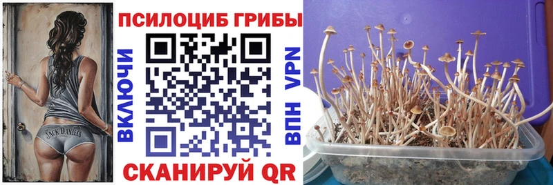 Псилоцибиновые грибы ЛСД  Руза 